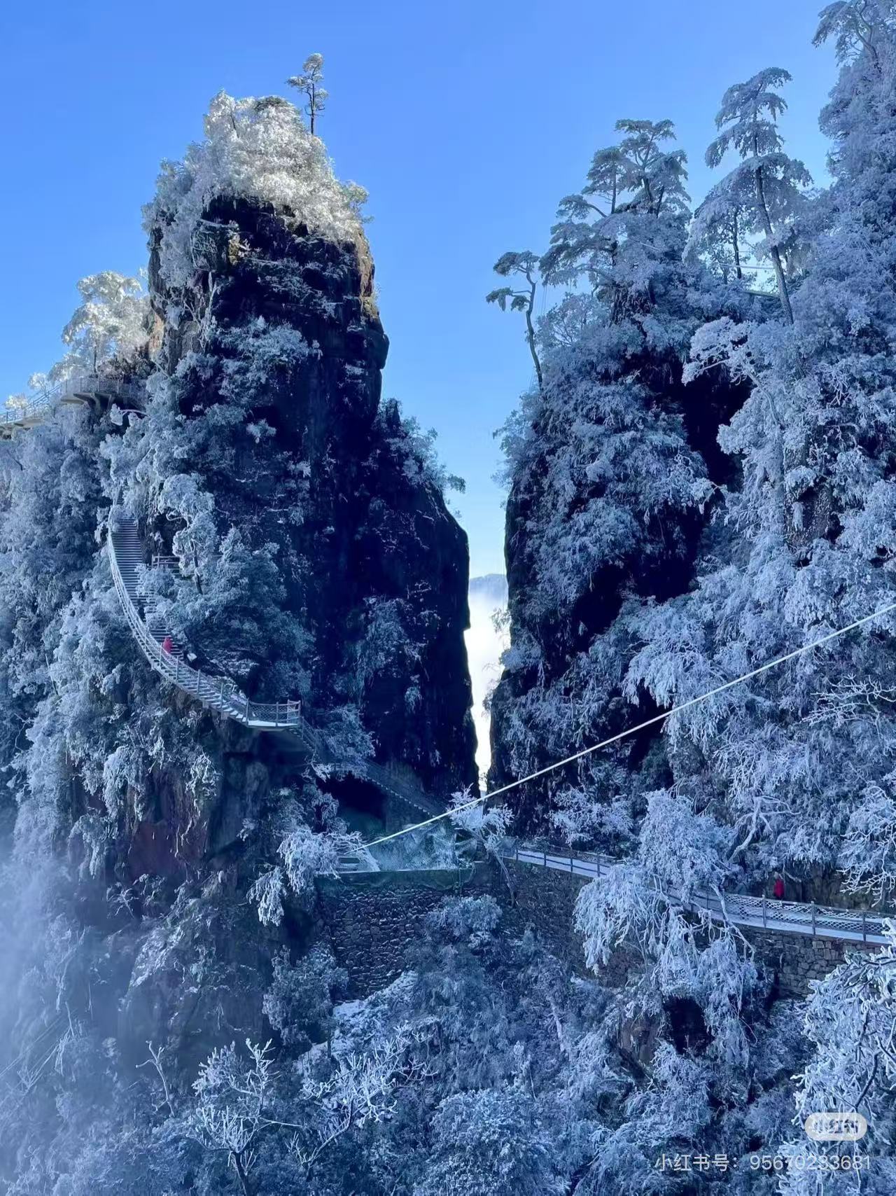 郴州九座租車_郴州資興租車