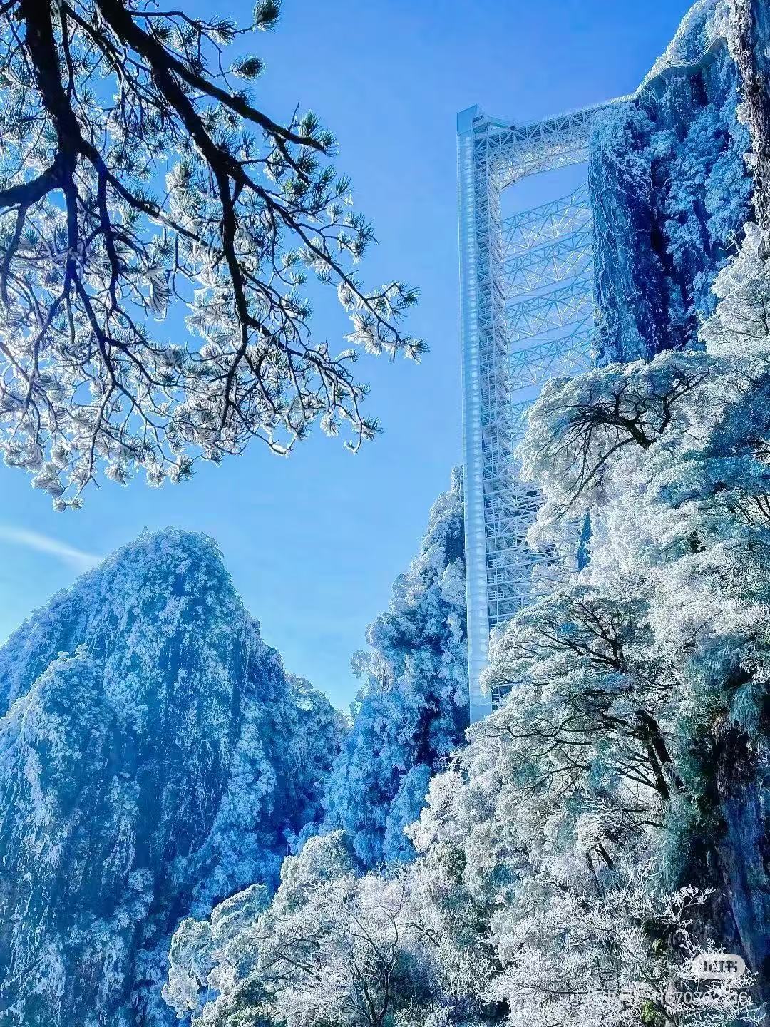 郴州3天2晚裕后街+莽山五指峰+仰天湖_旅游線路